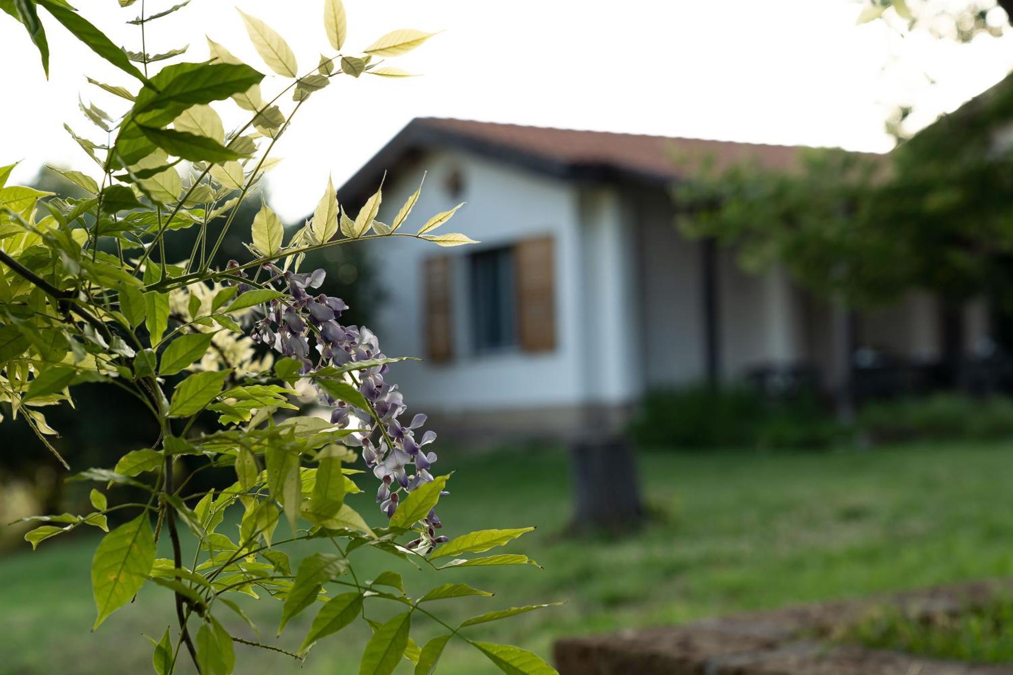 B&B La Figuretta Jesi Zewnętrze zdjęcie